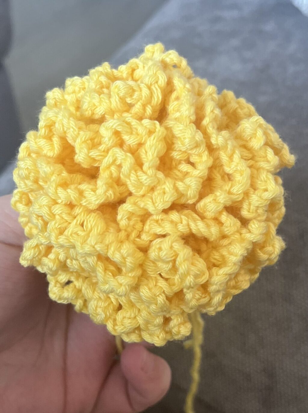 Carnation